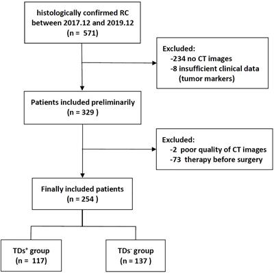 Computed Tomography-Based Radiomics for Preoperative Prediction of Tumor Deposits in Rectal Cancer